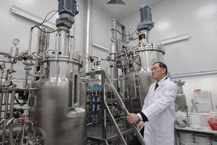 投資迷途 2500萬投資續命藥，兩年市值蒸發2億美元的警示